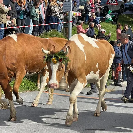 Closel 4 * グリオン